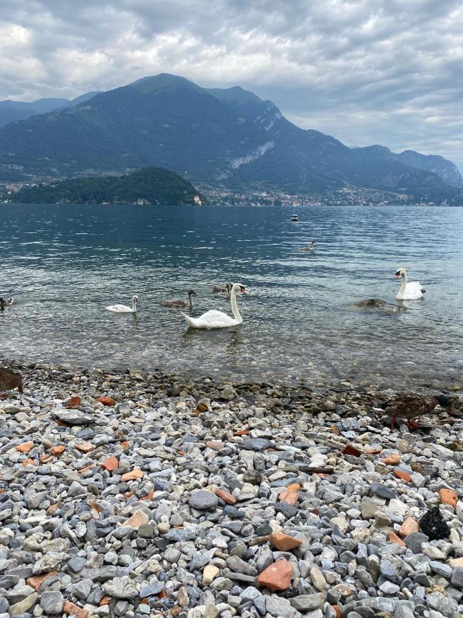 Lake House Near Bellagio Villa Lezzeno Dış mekan fotoğraf
